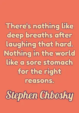 Happiness Quote by Stephen Chobsky