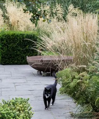 Langer Garten mit Ziergräsern