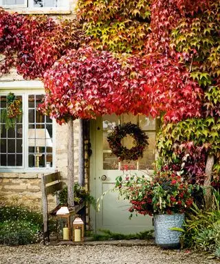 Herbstliche Veranda mit Kranz und Stuhl unter Efeu