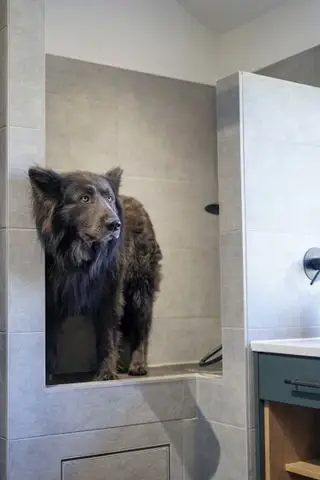 Hund in der Hundedusche im Stiefelraum