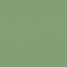 פארו & כדור סקסון ירוק' loading='lazy' title=