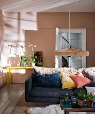 salon rose tendre