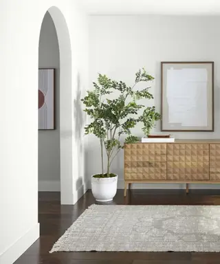אלו הם צבעי הצבע הנמכרים ביותר של Behr בכל הזמנים - ויש משהו שיתאים לכל סגנון