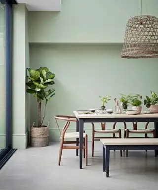 Rattan-Dekortrend