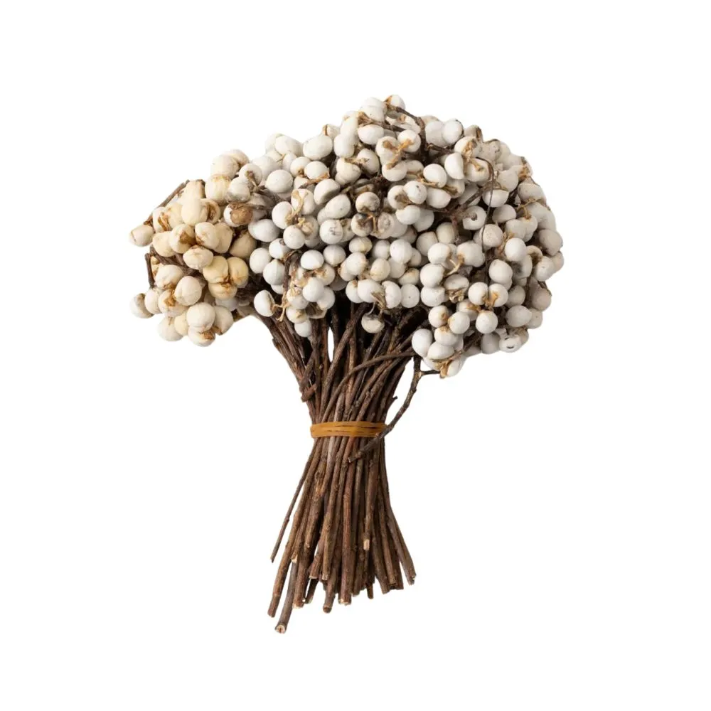 גרגרי חלב מיובשים לבנים טבעיים' loading='lazy' title=