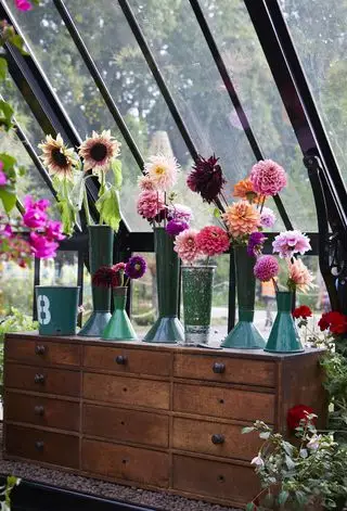 Dalias expuestas en jarrones de floristería antiguos