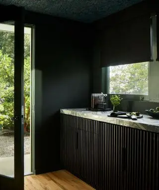 Cocina negra bañada en color con puerta de cristal.