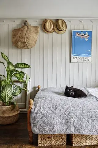 Husplante i vævet kurv