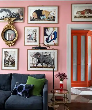 Parede rosa brilhante com estampas peculiares de animais emolduradas