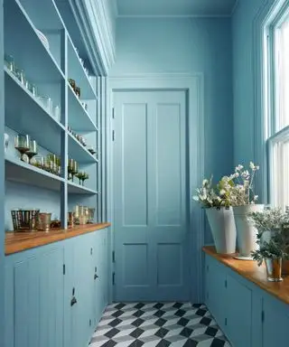 Les portes doivent-elles être peintes de la même couleur que les murs ? Oui, et voici 5 raisons approuvées par des experts