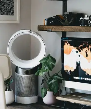 小さな緑の観葉植物に囲まれた木の机の上の Mac の横に羽根のないダイソンファン