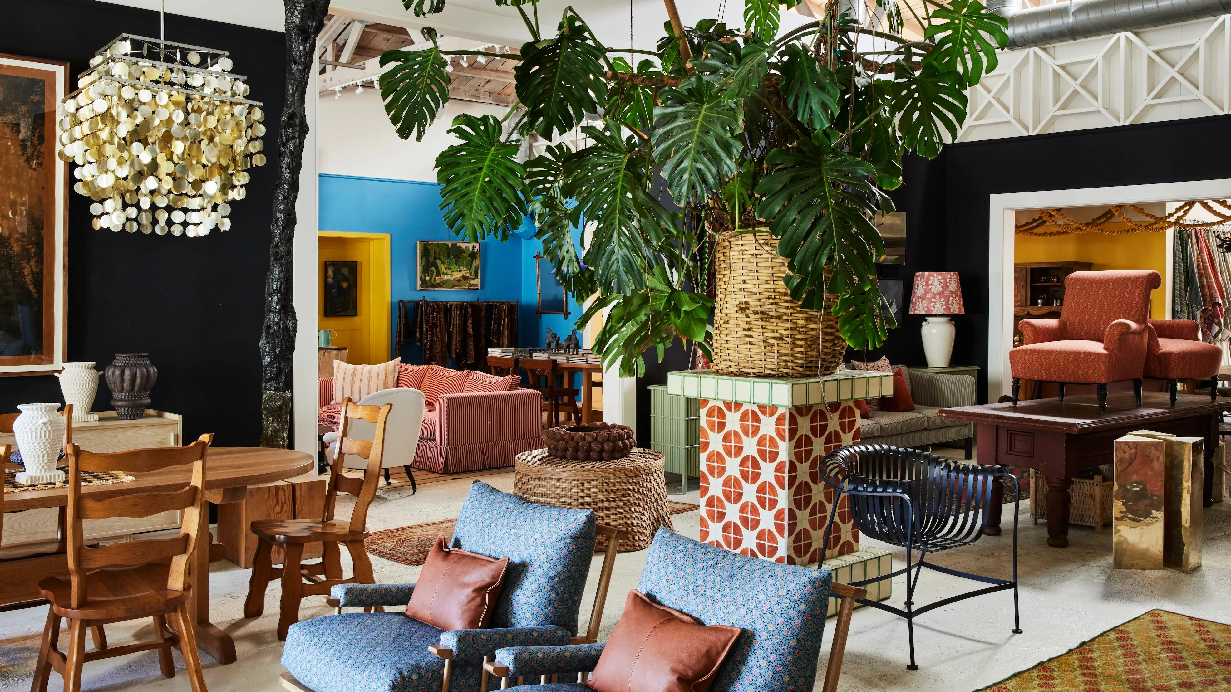 Uma vista da loja de Nickey Kehoe em Los Angeles com uma mistura de móveis em torno de uma grande planta frondosa, tudo sob uma clarabóia.' loading='lazy' title=