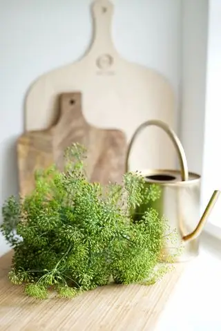 flores de endro ao lado com tábuas de cortar e regador