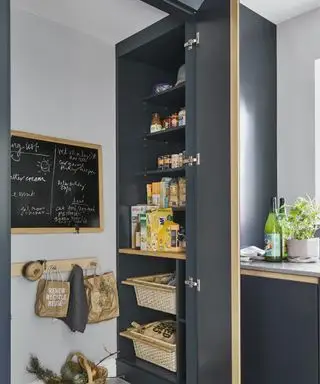 Ideas de despensa - Despensa de cocina pequeña