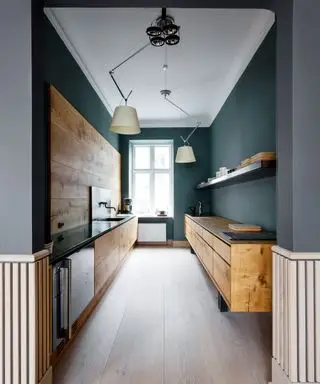 Ideen für eine Pantryküche mit Holzschränken und grauen Wänden