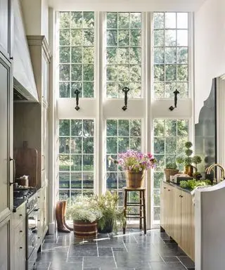 Ideas de diseño de cocina con cocina de galera y ventanales del piso al techo