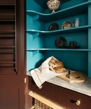 Ideas-de-despensa-debajo-de-escaleras-inglés-sencillo