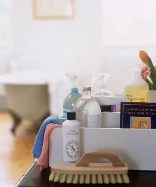 Detalhe do banheiro diversos produtos de limpeza escova de mão panos sem fiapos garrafas vários produtos de limpeza sprays detergentes limpador de torneira