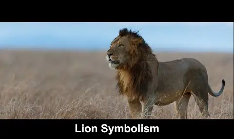 Simbolismo do Leão