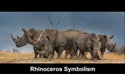 유튜브 플레이어