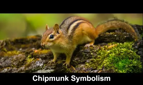 Přehrávač YouTube