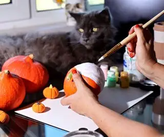 Zwei Hände haben gesehen, wie sie einen kleinen Kürbis weiß bemalt haben, mit einer grauen Katze im Hintergrund