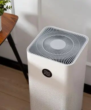 purificador de aire