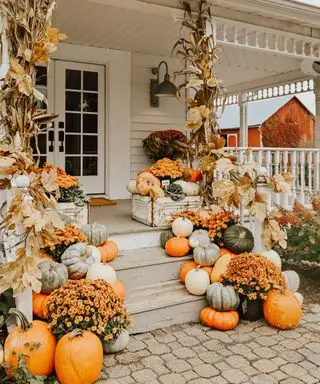 Dekorieren mit Kürbissen, Veranda mit Kürbissen in verschiedenen Formen und Farben auf Veranda und Stufen, Halloween-Dekoration