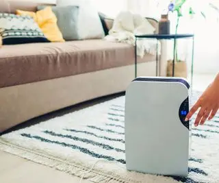Um desumidificador deixa o ambiente mais fresco? Especialistas explicam como o seu pode ajudar a vencer o calor