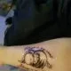 member avatar