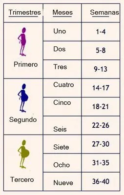 imagen cargad por usuario