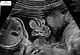 Des bouteilles de bébé au lave-vaisselle?