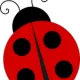 member avatar