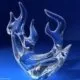 member avatar