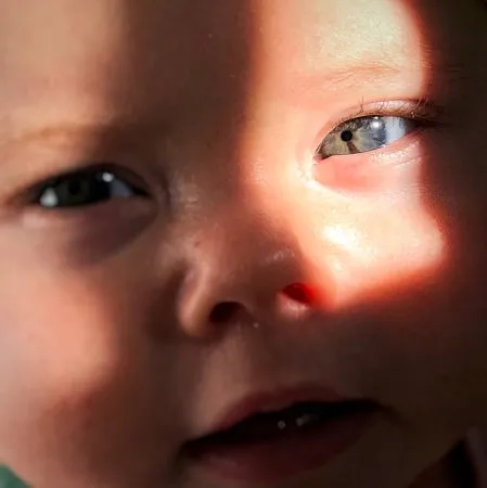 InEH2QyqT2jT2gTlyi7xznmnZQP28wM4_lg.webp