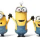 member avatar