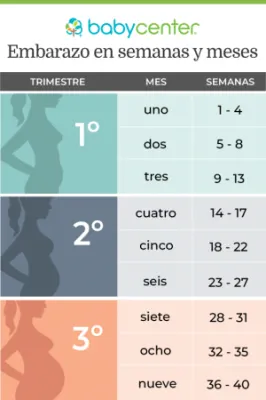 imagen cargad por usuario