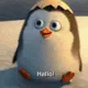 member avatar