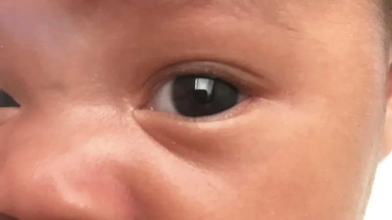 目の色？茶色の目はどのように始まりますか？