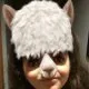 member avatar