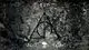 member avatar
