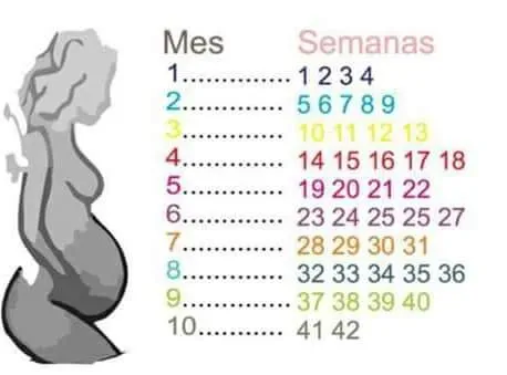 imagen cargad por usuario