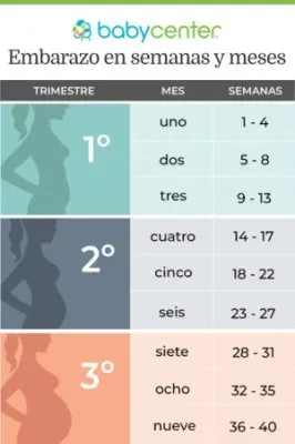 imagen cargad por usuario