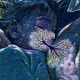 member avatar