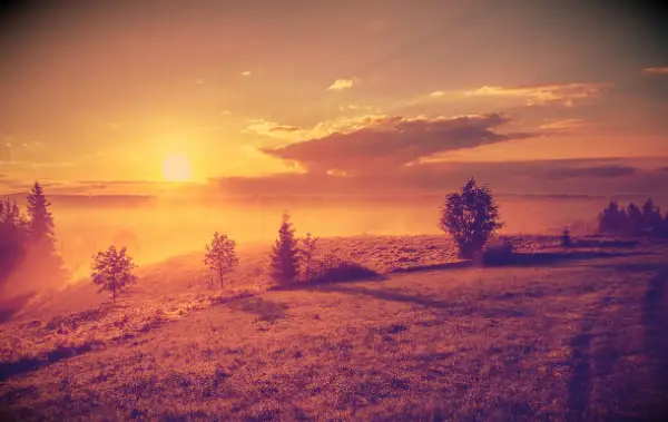 105 Bedauern Zitate, um Ihnen zu helfen, mit Ihrem Leben weiterzumachen, um weiterzumachen