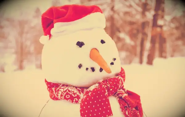 A close up of a snowman.