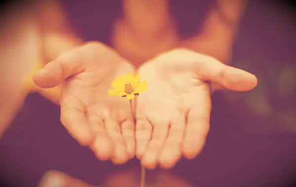 57 Zitate geben: Ein inspirierender Leitfaden, um den Menschen zu helfen, die Sie lieben