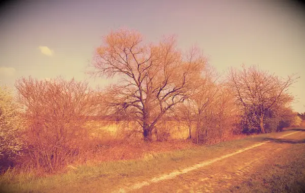 Citazioni di 90 marzo per un inizio ispiratore, motivazionale e positivo della primavera