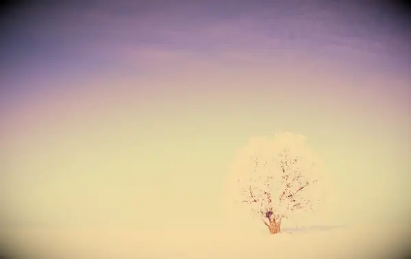 101 Inspirerende vinter sitater for en oppløftende og mindre stressende sesong