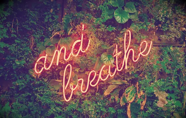 60 Inspiring Inner Peace Quotes (to Calm and Relax You)